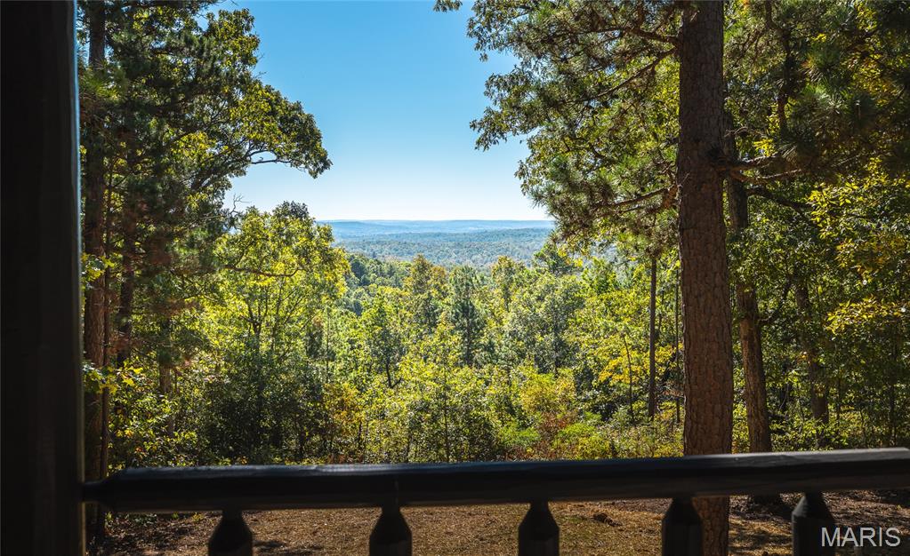 13102 Pelican Ridge Road Potosi, MO 63664 - Photo 3 of 95