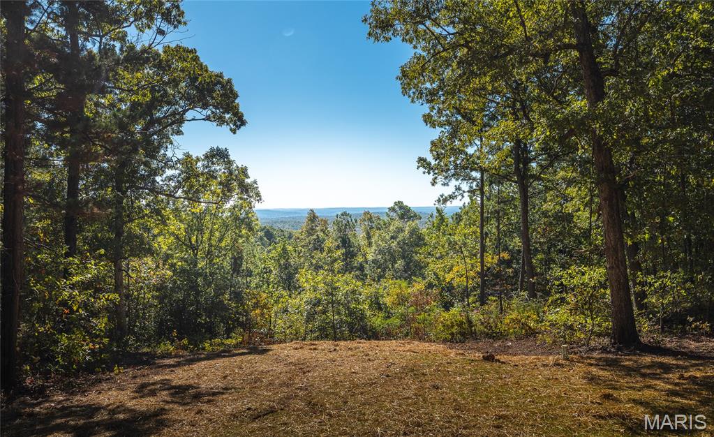 13102 Pelican Ridge Road Potosi, MO 63664 - Photo 33 of 95