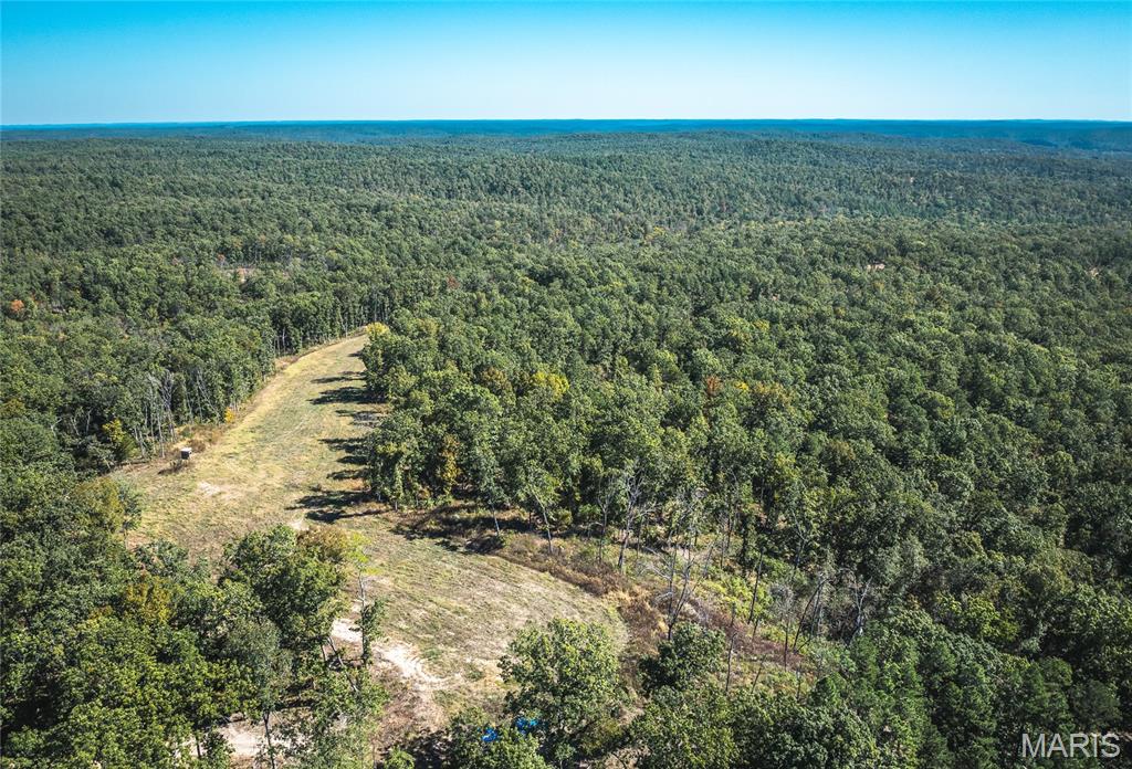 13102 Pelican Ridge Road Potosi, MO 63664 - Photo 5 of 95