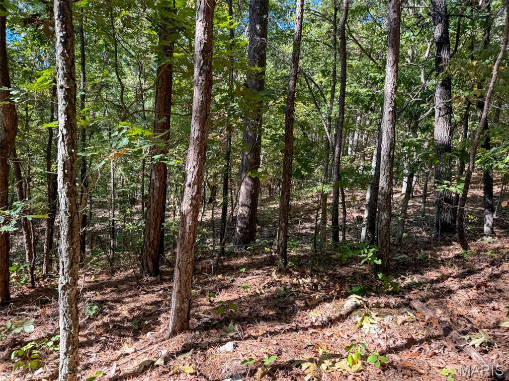 13102 Pelican Ridge Road Potosi, MO 63664 - Photo 66 of 95