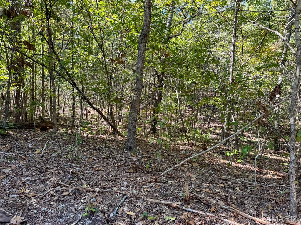 13102 Pelican Ridge Road Potosi, MO 63664 - Photo 67 of 95