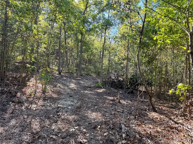 $2,150,000 | 13102 Pelican Ridge Road, Potosi, MO 63664