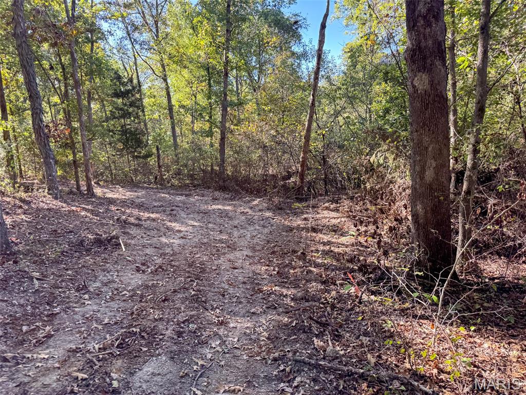 13102 Pelican Ridge Road Potosi, MO 63664 - Photo 69 of 95