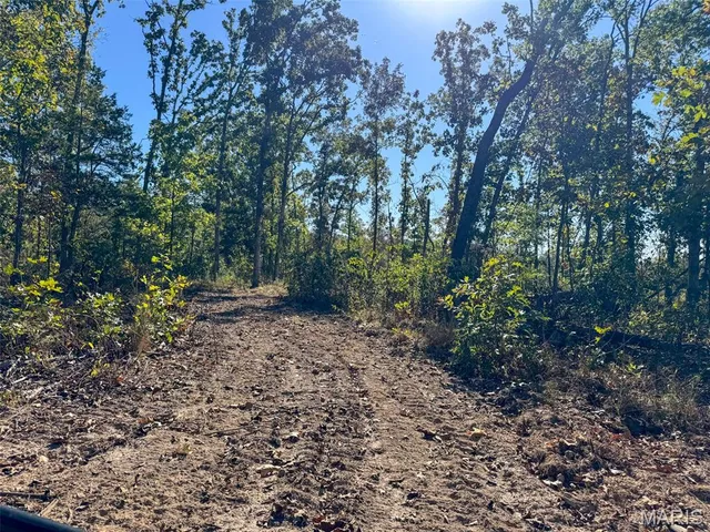 $2,150,000 | 13102 Pelican Ridge Road, Potosi, MO 63664