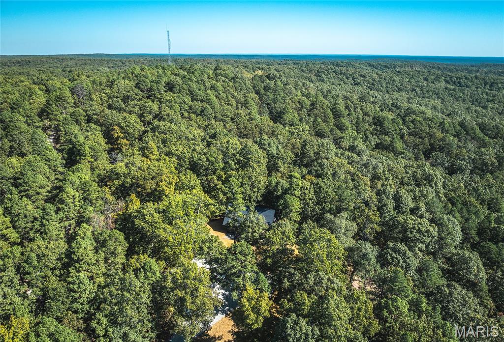 13102 Pelican Ridge Road Potosi, MO 63664 - Photo 7 of 95