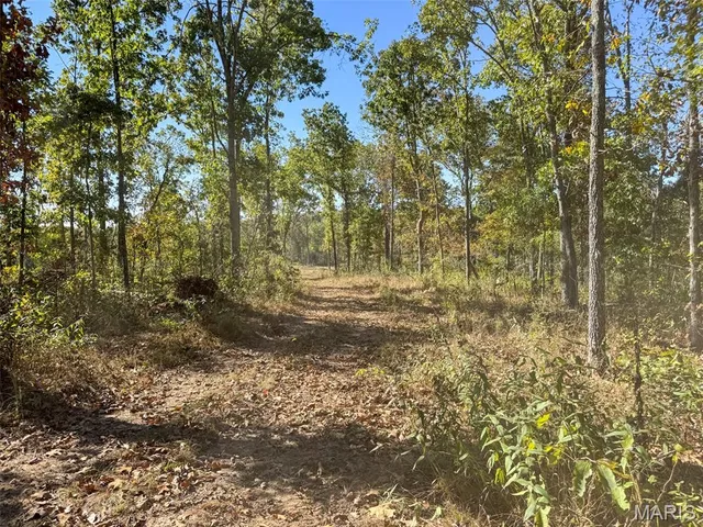 $2,150,000 | 13102 Pelican Ridge Road, Potosi, MO 63664