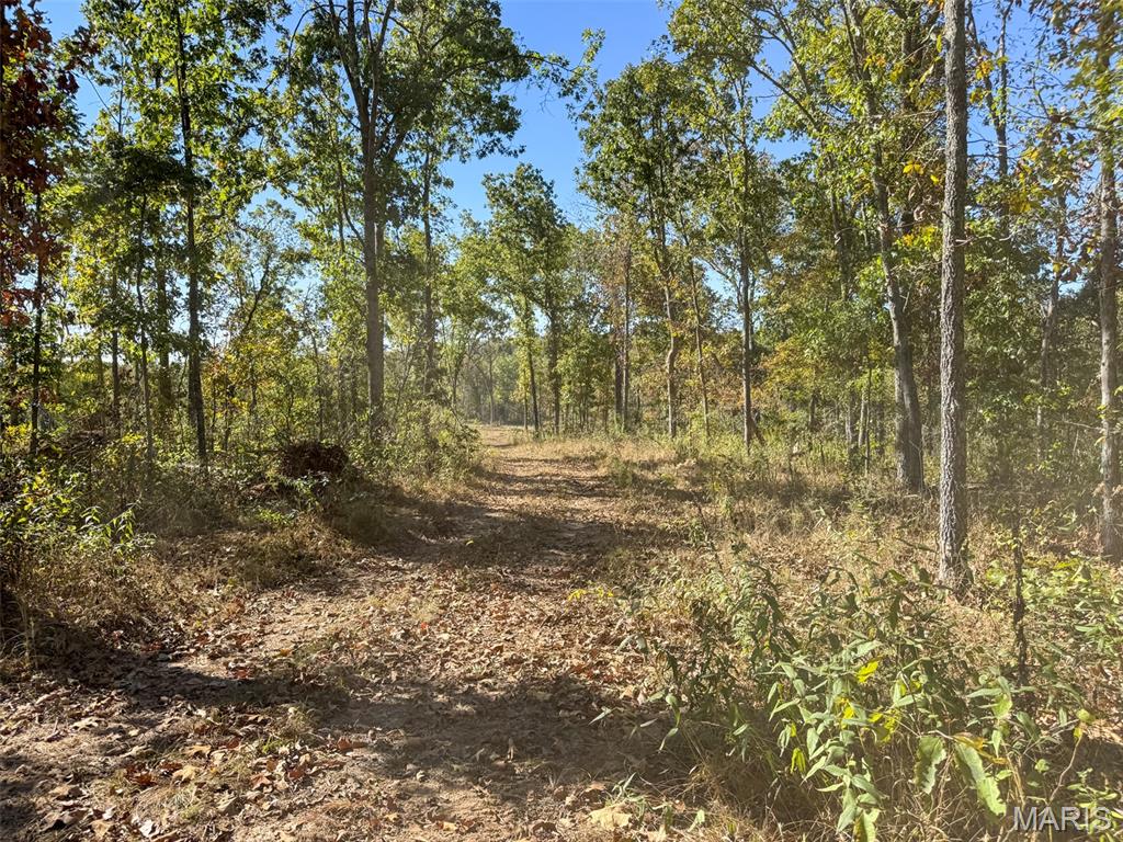 13102 Pelican Ridge Road Potosi, MO 63664 - Photo 71 of 95