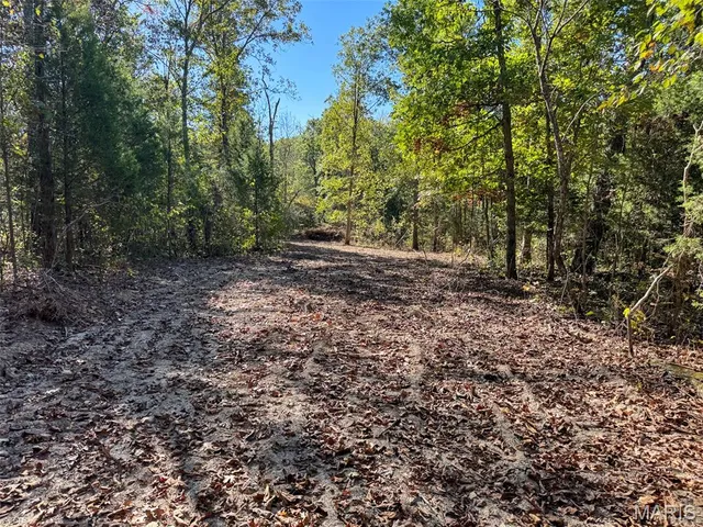 $2,150,000 | 13102 Pelican Ridge Road, Potosi, MO 63664