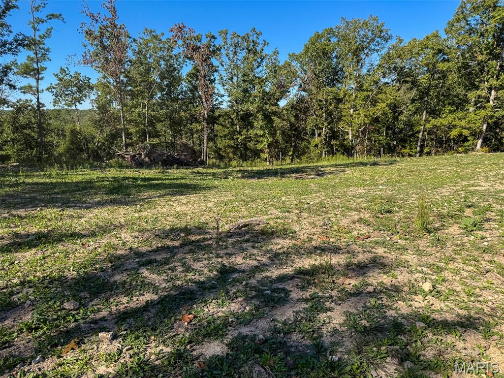 13102 Pelican Ridge Road Potosi, MO 63664 - Photo 79 of 95