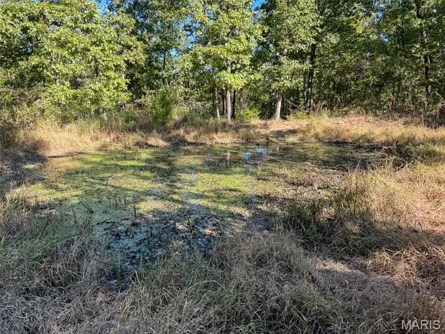 $2,150,000 | 13102 Pelican Ridge Road, Potosi, MO 63664