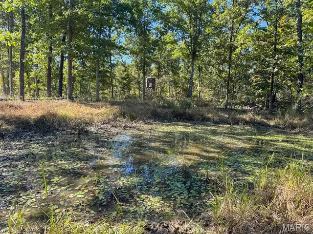 $2,150,000 | 13102 Pelican Ridge Road, Potosi, MO 63664