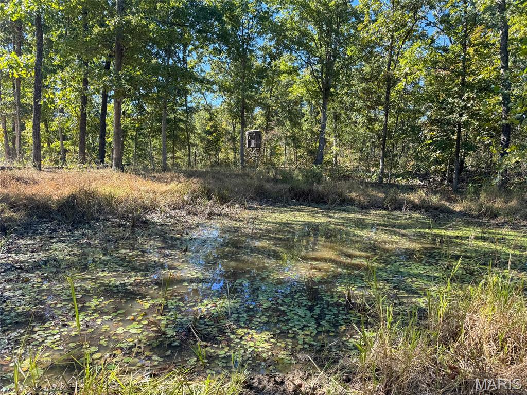 13102 Pelican Ridge Road Potosi, MO 63664 - Photo 84 of 95