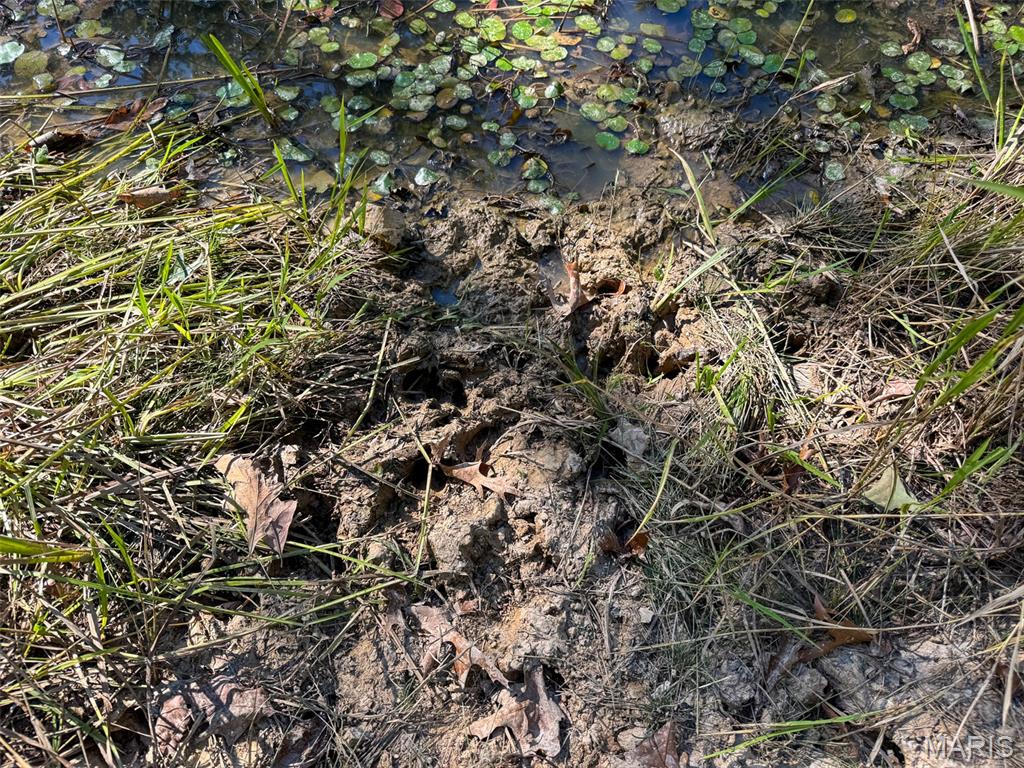 13102 Pelican Ridge Road Potosi, MO 63664 - Photo 85 of 95