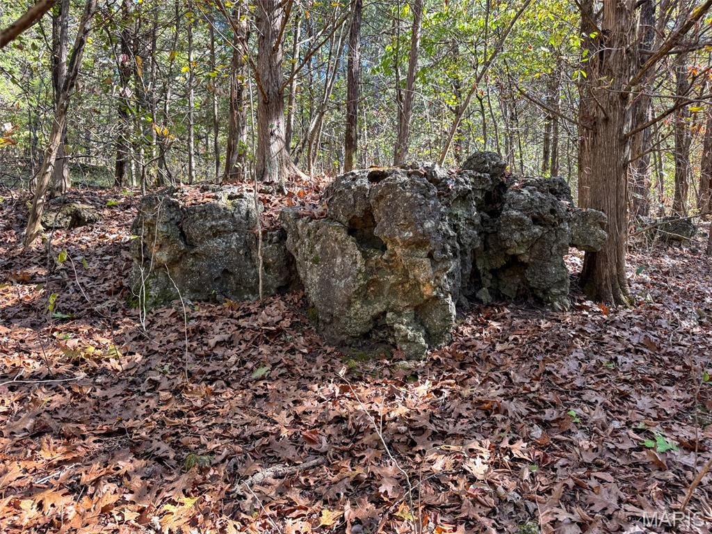 13102 Pelican Ridge Road Potosi, MO 63664 - Photo 88 of 95