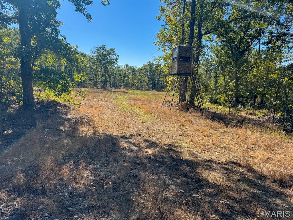 13102 Pelican Ridge Road Potosi, MO 63664 - Photo 90 of 95