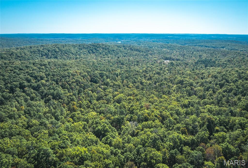 13102 Pelican Ridge Road Potosi, MO 63664 - Photo 9 of 95