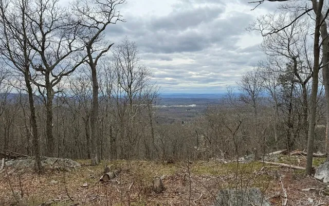 a view of a backyard of the house