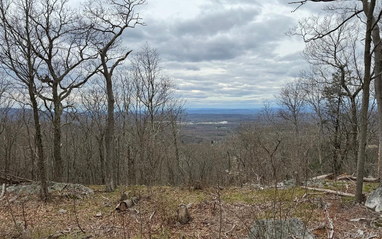 Woodmont Road Hopewell Junction, NY 12533 - Photo 1 of 4