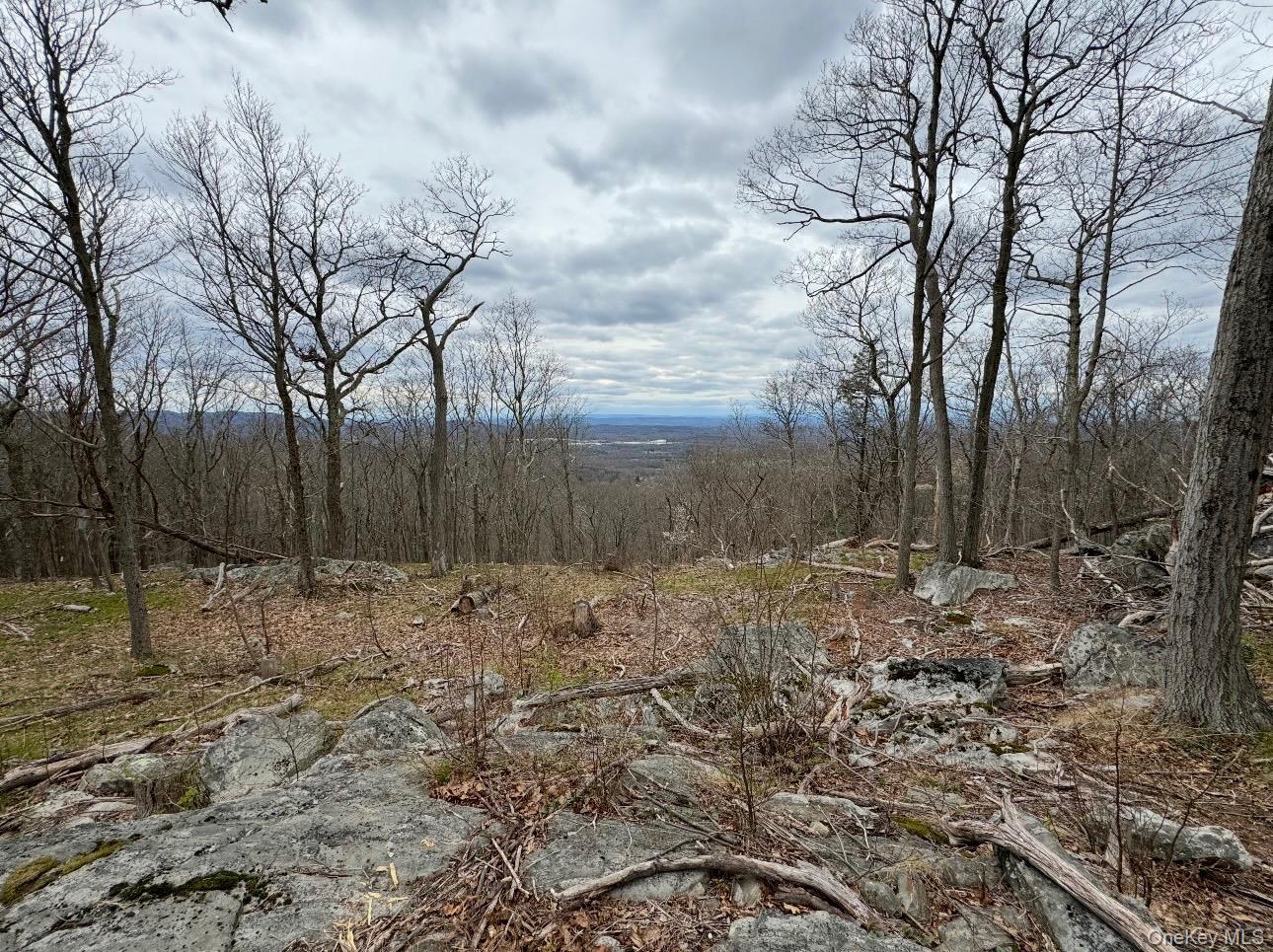 Woodmont Road Hopewell Junction, NY 12533 - Photo 2 of 4 a view of a backyard of the house