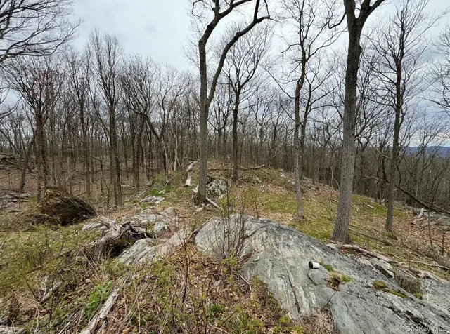 $195,000 | Woodmont Road, Hopewell Junction, NY 12533