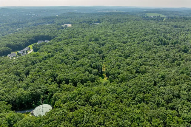 a view of a lush green forest with trees and some houses