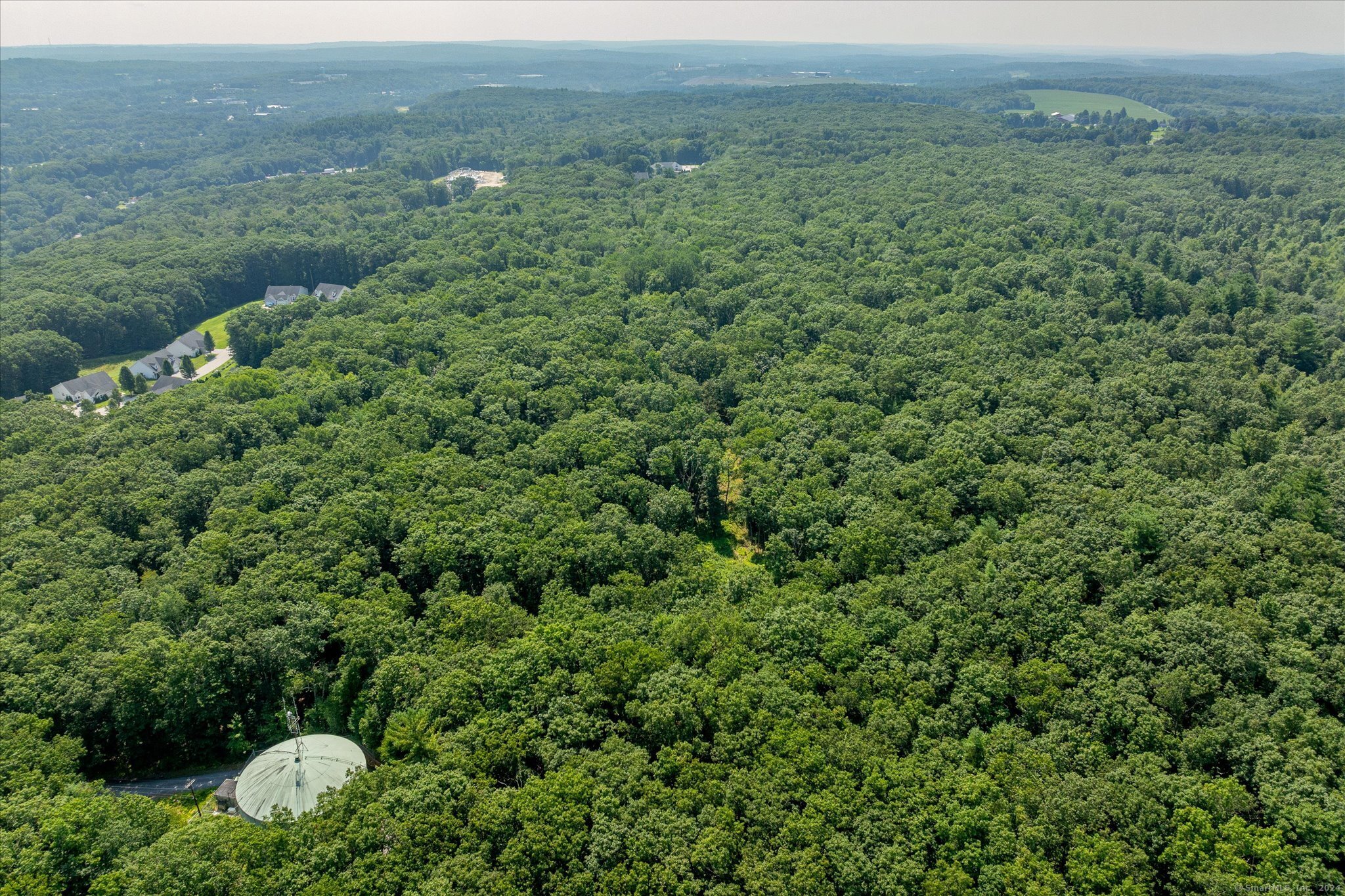 a view of a lush green forest with trees and some houses