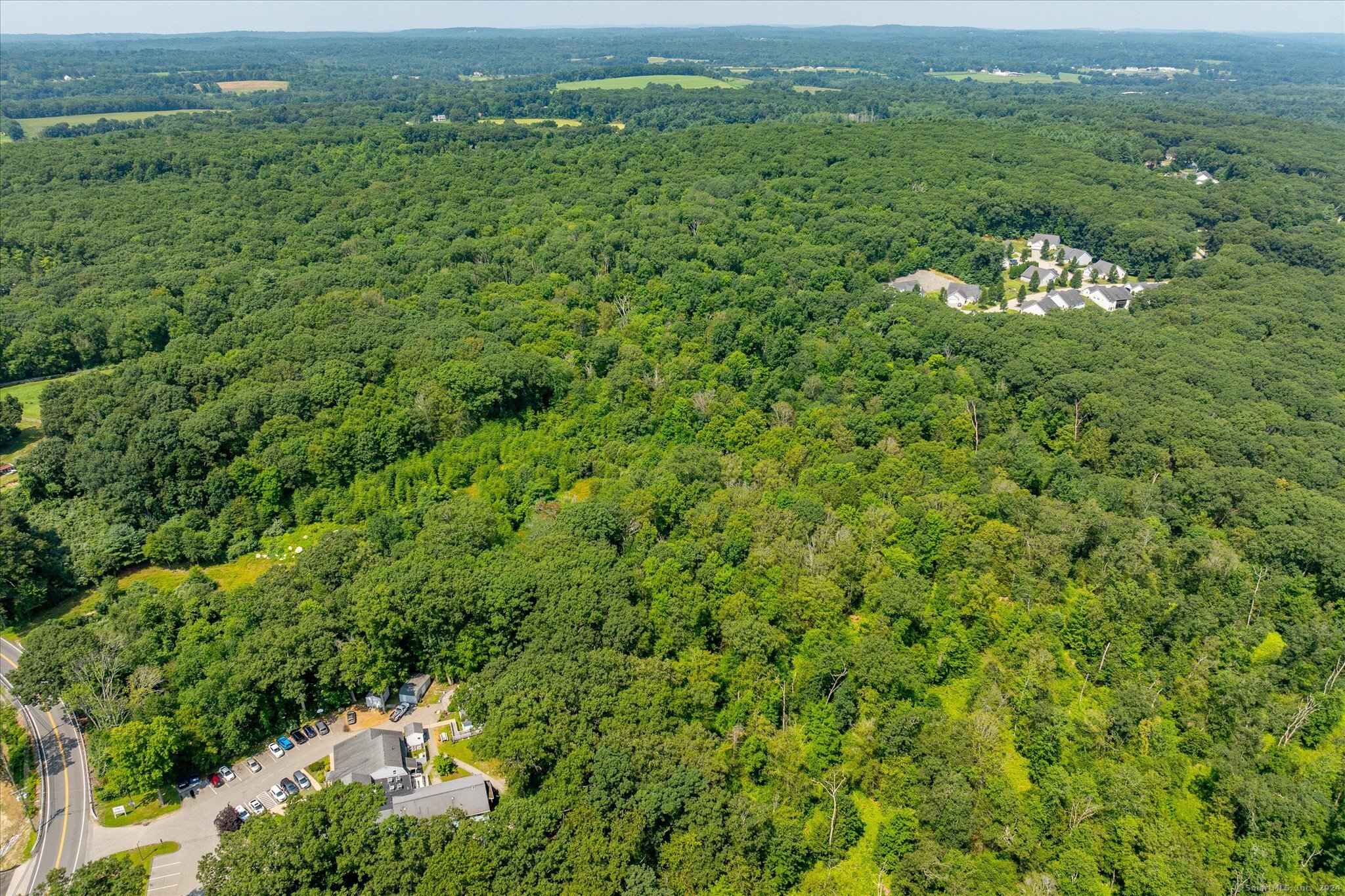 219 Pomfret Street Putnam, CT 06260 - Photo 2 of 16 a view of a green field with lots of bushes