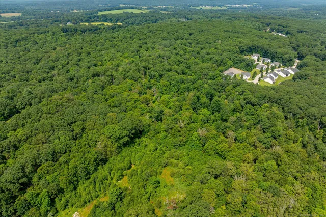 a view of a lush green field