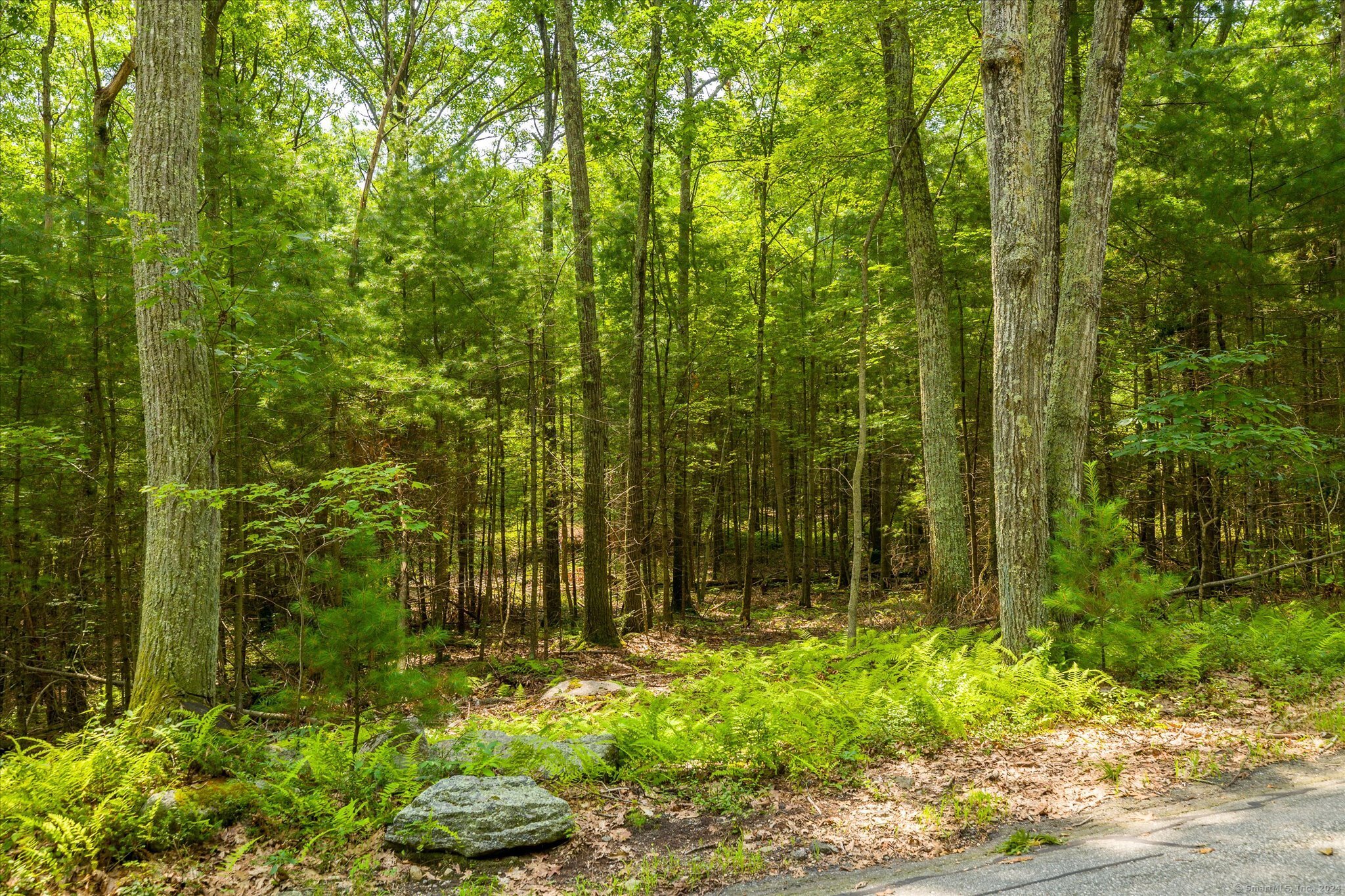 219 Pomfret Street Putnam, CT 06260 - Photo 8 of 16 a view of a garden