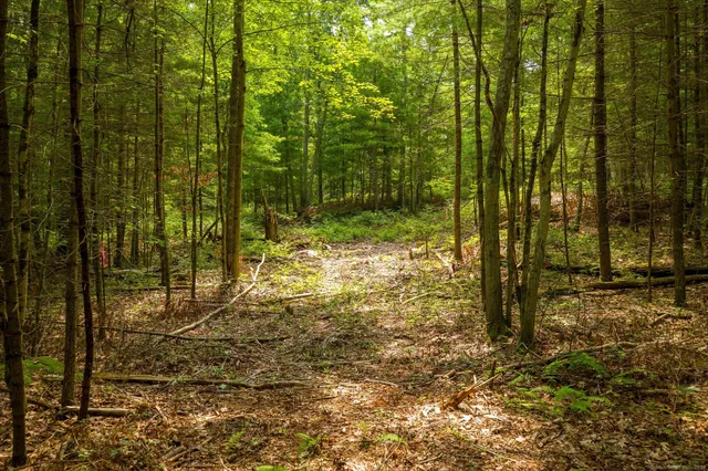 a view of backyard with green space