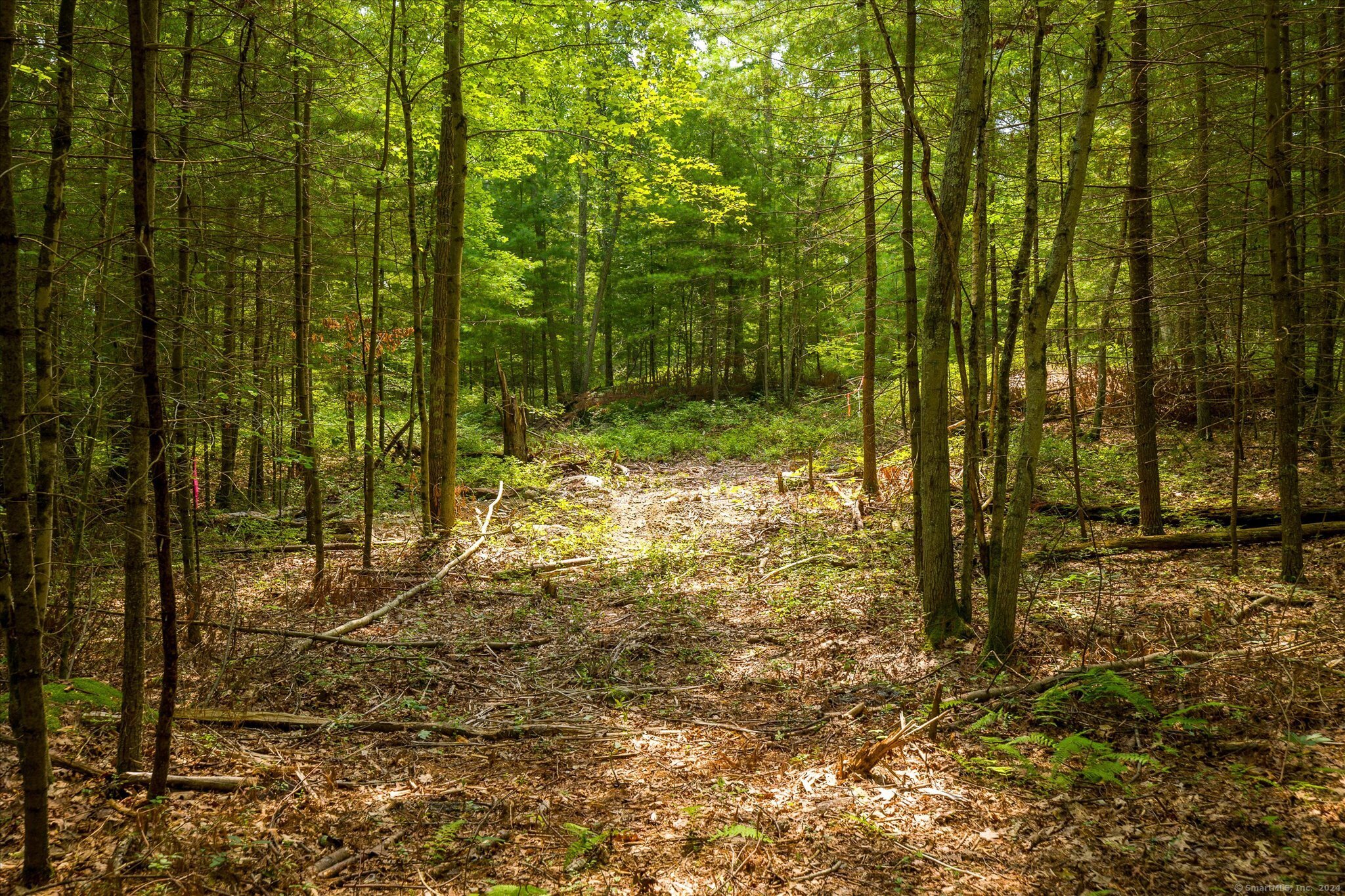 219 Pomfret Street Putnam, CT 06260 - Photo 10 of 16 a view of a pathway of a yard