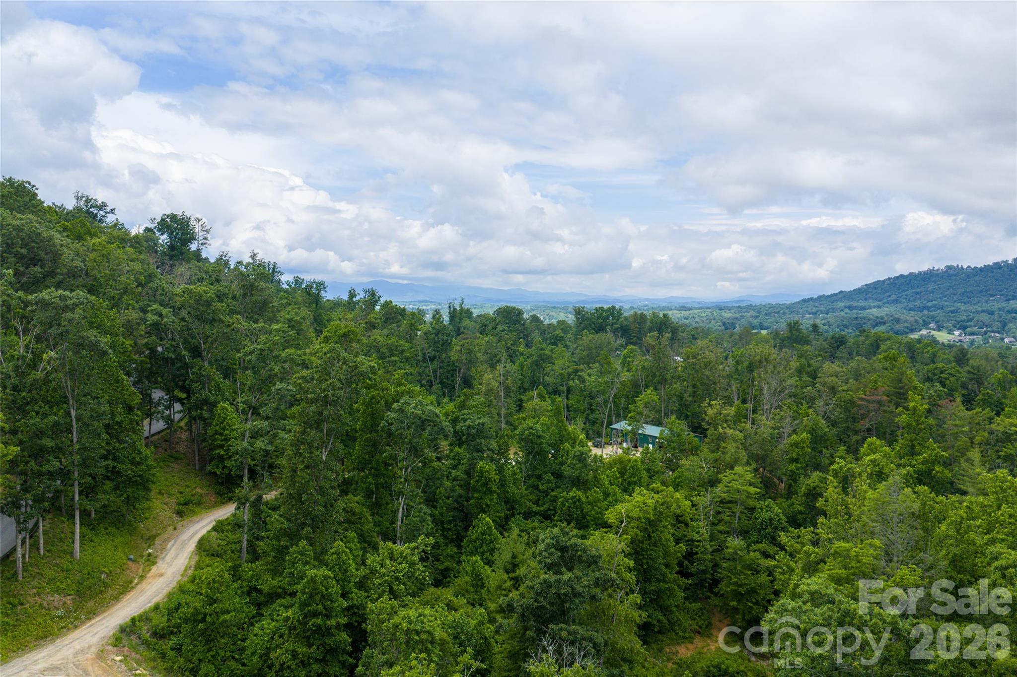 9999 Bear Vw Road Weaverville, NC 28787 - Photo 14 of 18