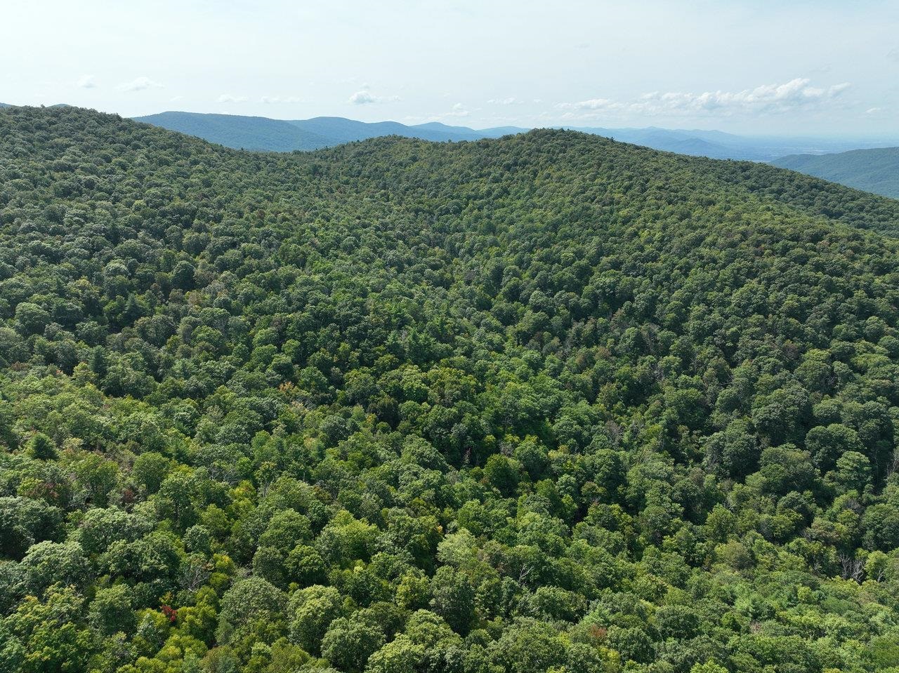 Lot 1 Price Ridge Road Stanley, VA 22851 - Photo 11 of 43 Gallery Image 11