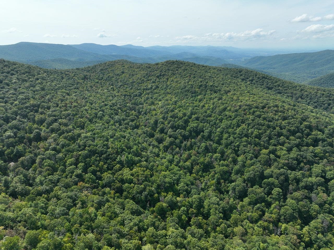 Lot 1 Price Ridge Road Stanley, VA 22851 - Photo 12 of 43 Gallery Image 12