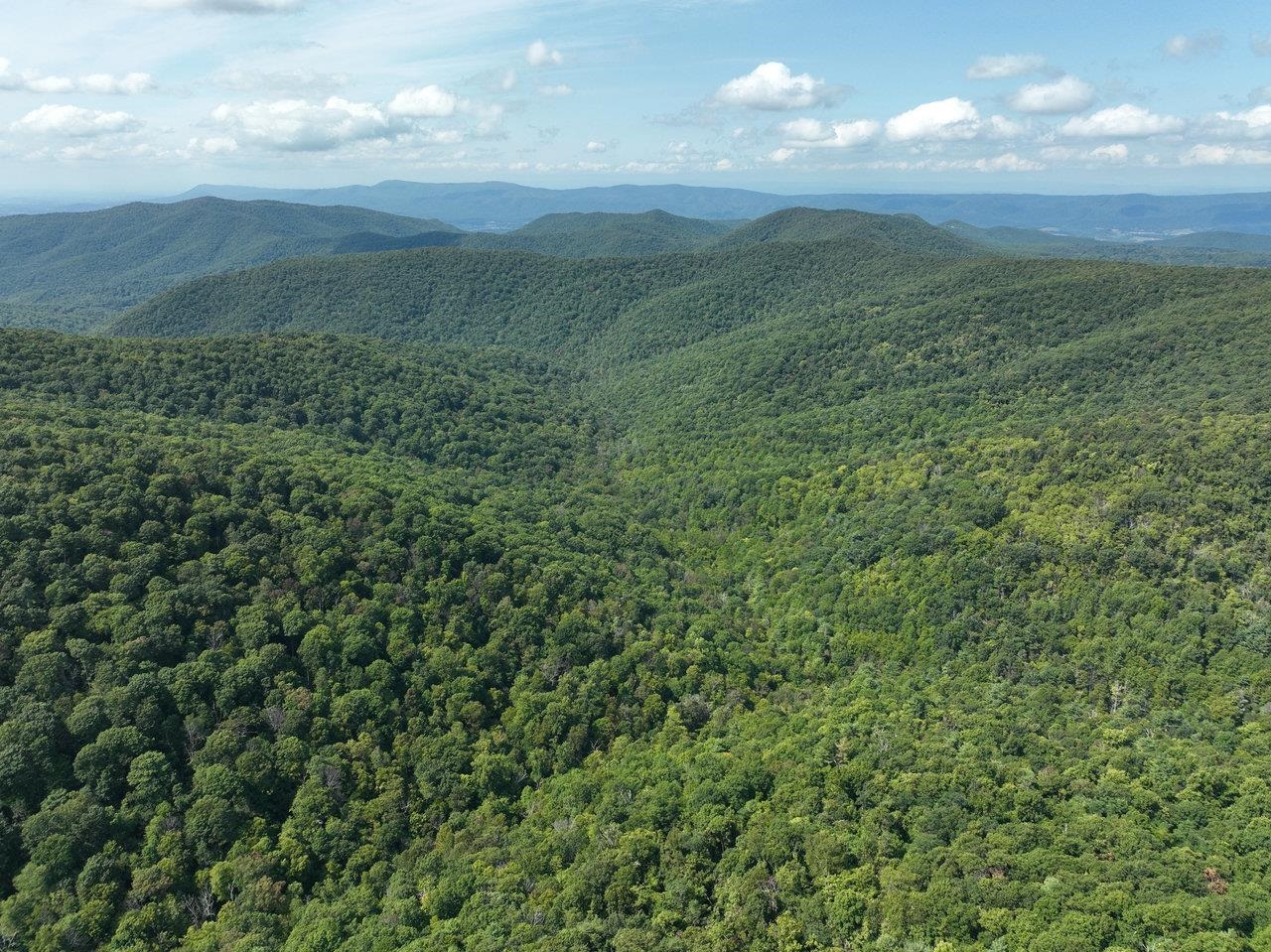 Lot 1 Price Ridge Road Stanley, VA 22851 - Photo 13 of 43 Gallery Image 13