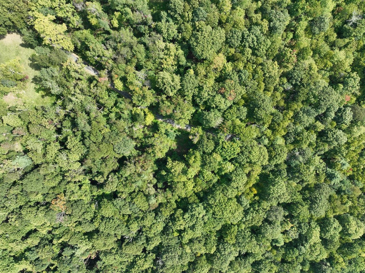 Lot 1 Price Ridge Road Stanley, VA 22851 - Photo 16 of 43 Gallery Image 16