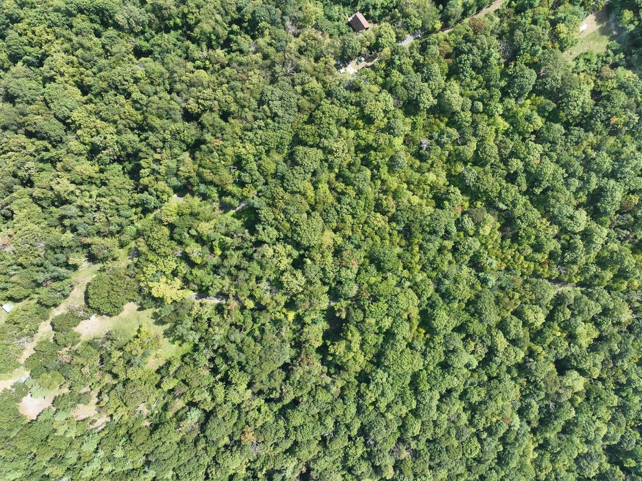 Lot 1 Price Ridge Road Stanley, VA 22851 - Photo 17 of 43 Gallery Image 17