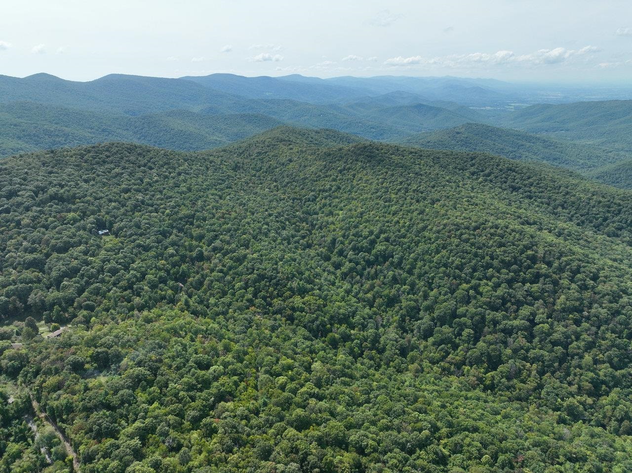 Lot 1 Price Ridge Road Stanley, VA 22851 - Photo 20 of 43 Gallery Image 20