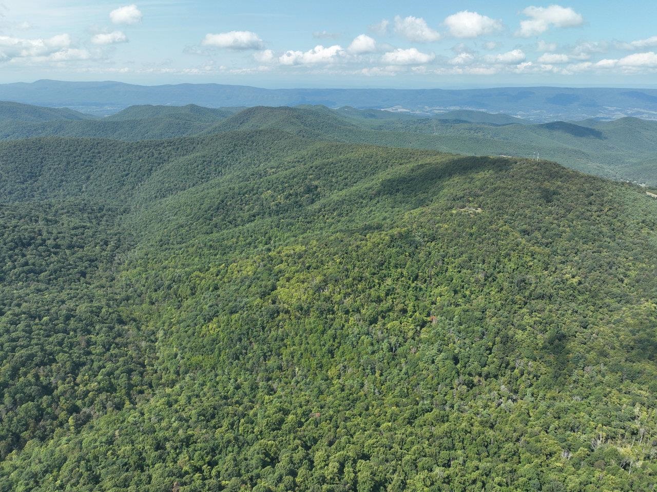 Lot 1 Price Ridge Road Stanley, VA 22851 - Photo 21 of 43 Gallery Image 21