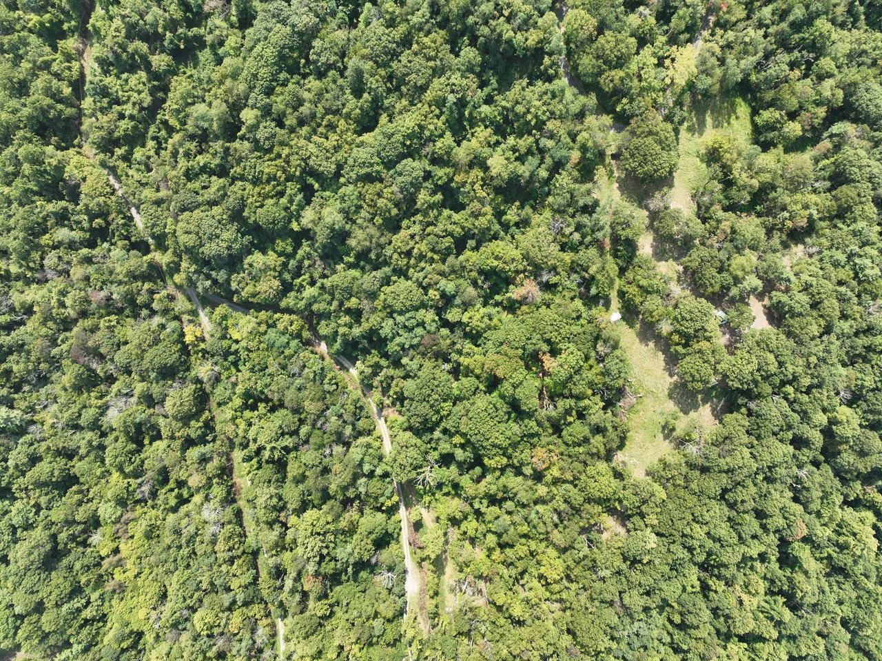 Lot 1 Price Ridge Road Stanley, VA 22851 - Photo 23 of 43 Gallery Image 23