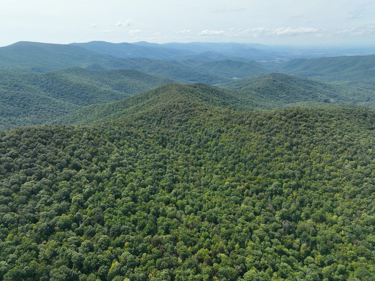 Lot 1 Price Ridge Road Stanley, VA 22851 - Photo 27 of 43 Gallery Image 27