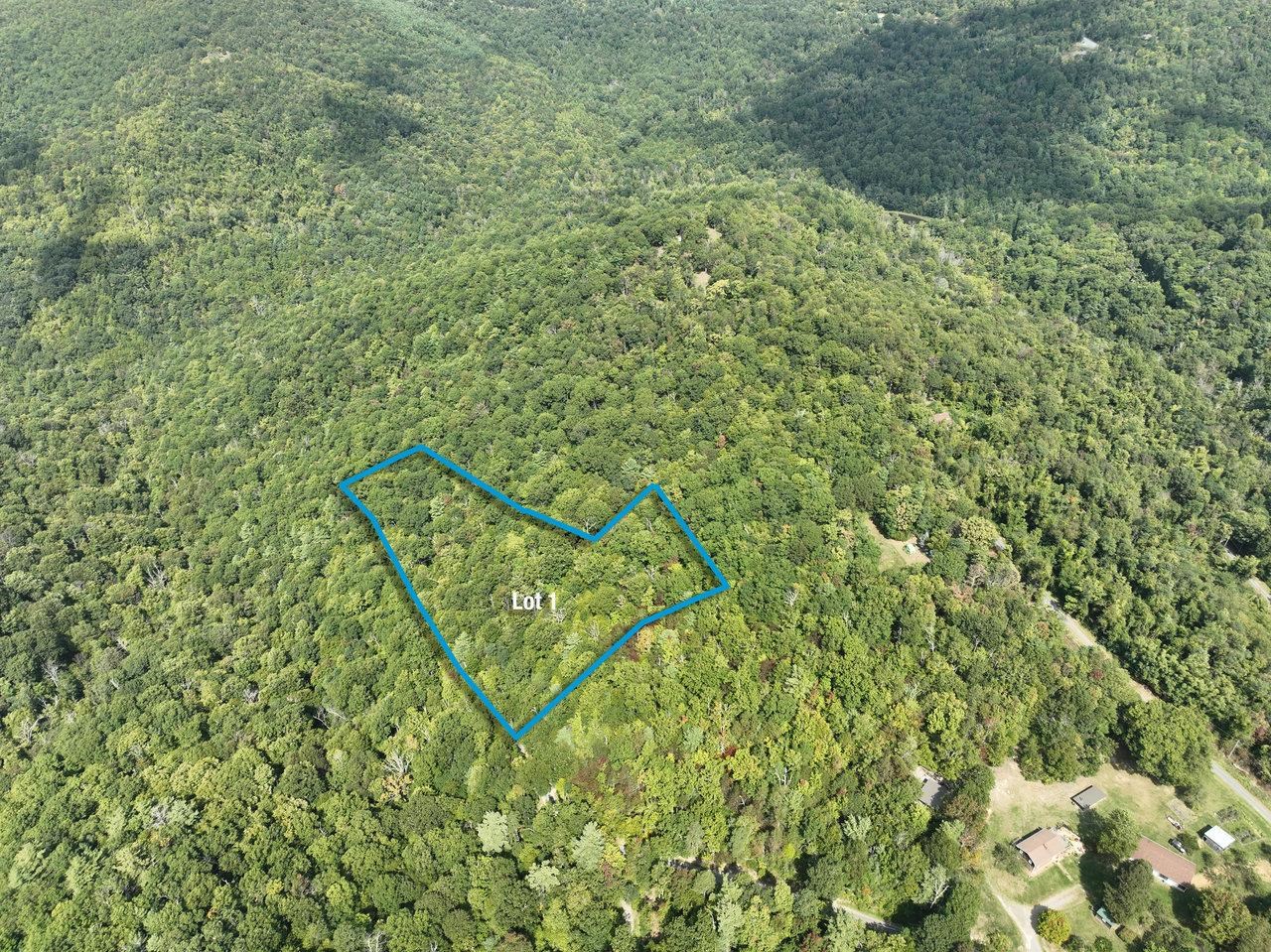 Lot 1 Price Ridge Road Stanley, VA 22851 - Photo 3 of 43 Gallery Image 3