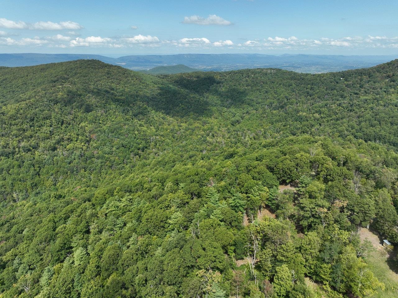 Lot 1 Price Ridge Road Stanley, VA 22851 - Photo 31 of 43 Gallery Image 31
