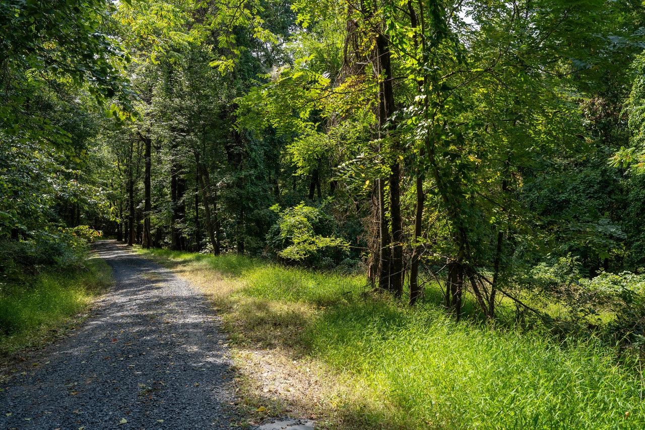 Lot 1 Price Ridge Road Stanley, VA 22851 - Photo 32 of 43 Gallery Image 32