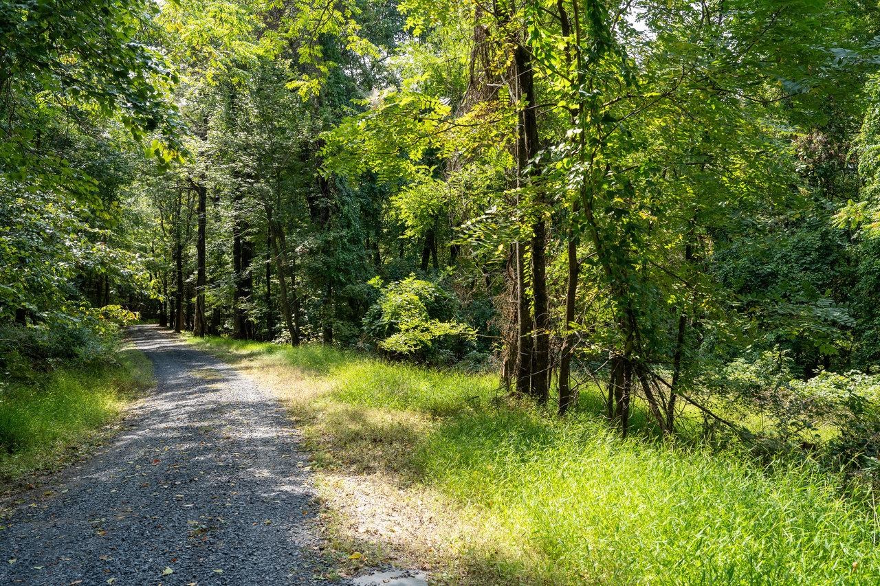 Lot 1 Price Ridge Road Stanley, VA 22851 - Photo 33 of 43 Gallery Image 33