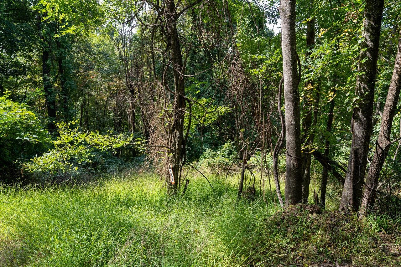 Lot 1 Price Ridge Road Stanley, VA 22851 - Photo 36 of 43 Gallery Image 36