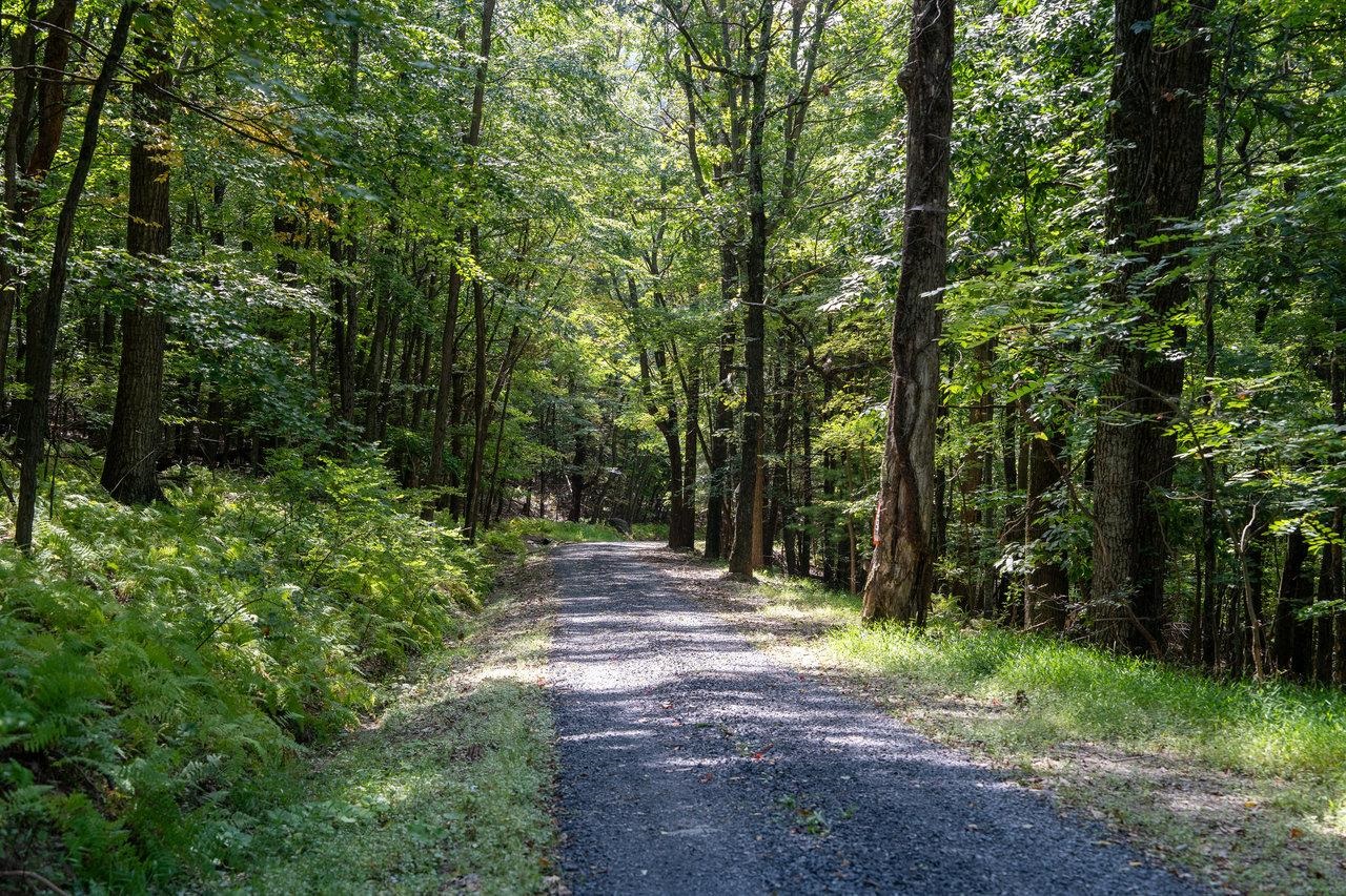 Lot 1 Price Ridge Road Stanley, VA 22851 - Photo 38 of 43 Gallery Image 38