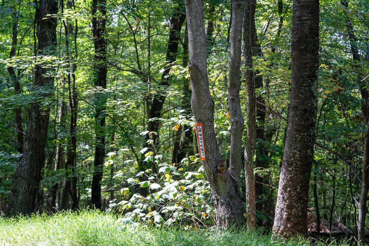 Lot 1 Price Ridge Road Stanley, VA 22851 - Photo 39 of 43 Gallery Image 39