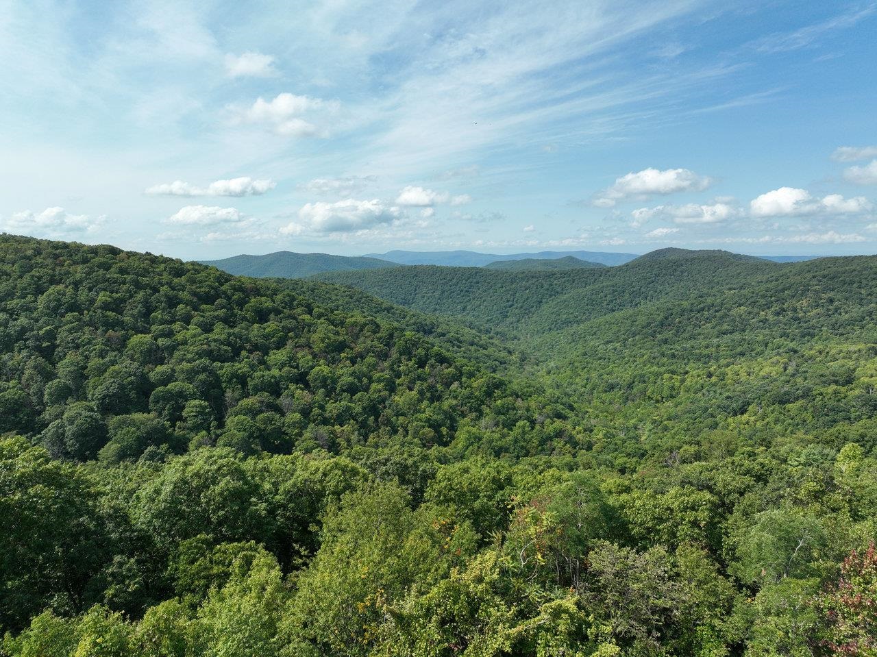 Lot 1 Price Ridge Road Stanley, VA 22851 - Photo 4 of 43 Gallery Image 4