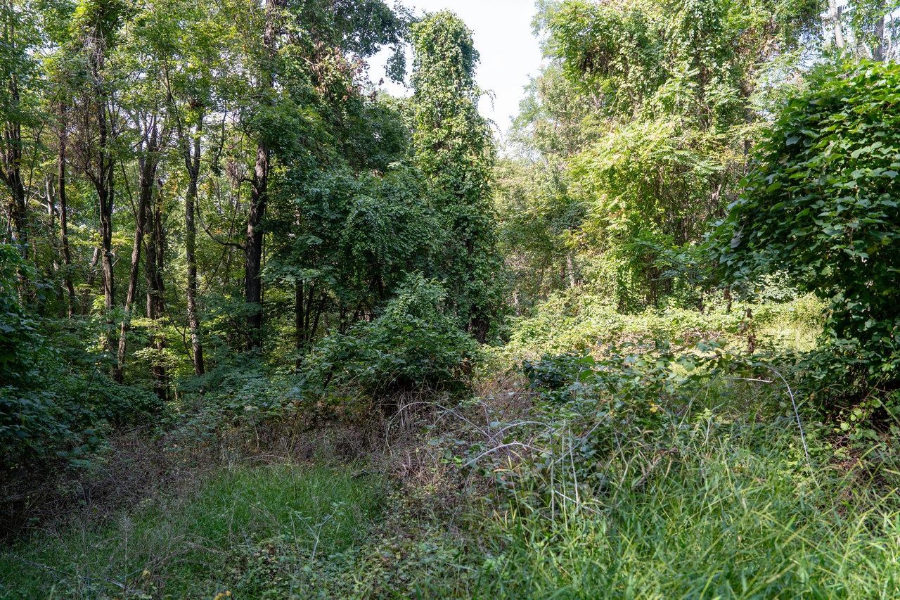 Lot 1 Price Ridge Road Stanley, VA 22851 - Photo 41 of 43 Gallery Image 41
